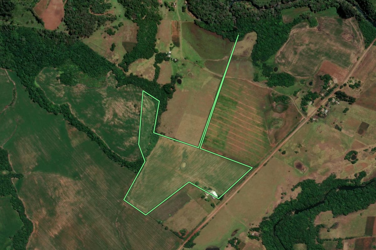 Imagem de satélite do imóvel rural em São Francisco de Assis (RS), com o contorno declarado no CAR desenhado por cima.