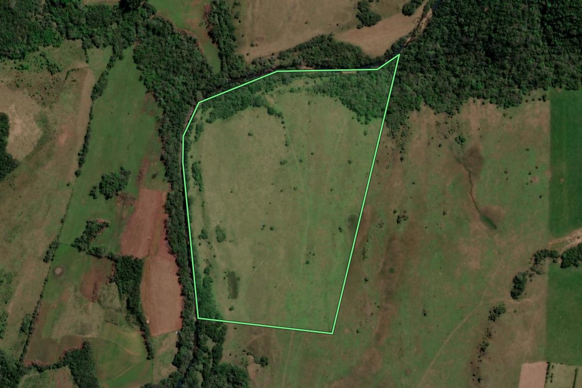 Imagem de satélite do imóvel rural em São Francisco de Assis (RS), com o contorno declarado no CAR desenhado por cima.