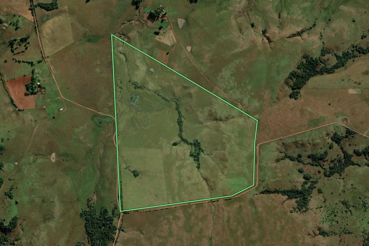 Imagem de satélite do imóvel rural em São Francisco de Assis (RS), com o contorno declarado no CAR desenhado por cima.