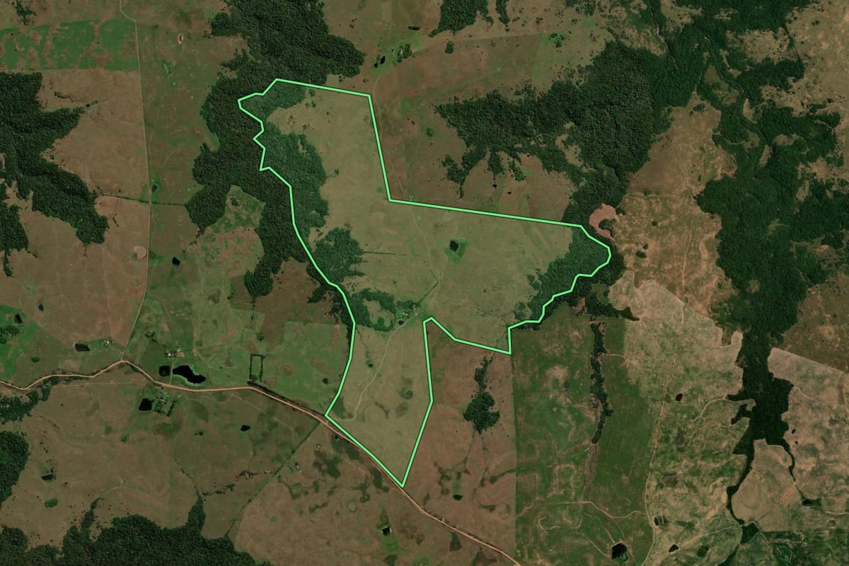 Imagem de satélite do imóvel rural em São Francisco de Assis (RS), com o contorno declarado no CAR desenhado por cima.