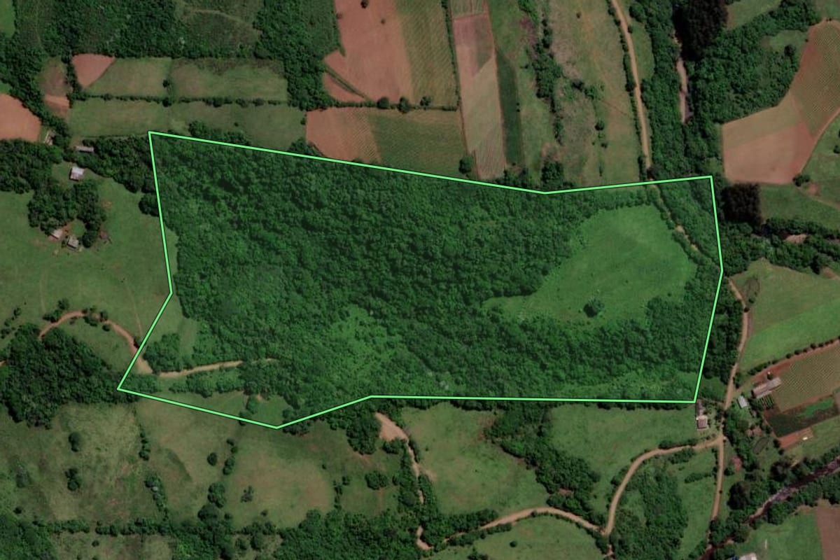 Imagem de satélite do imóvel rural em São Francisco de Assis (RS), com o contorno declarado no CAR desenhado por cima.