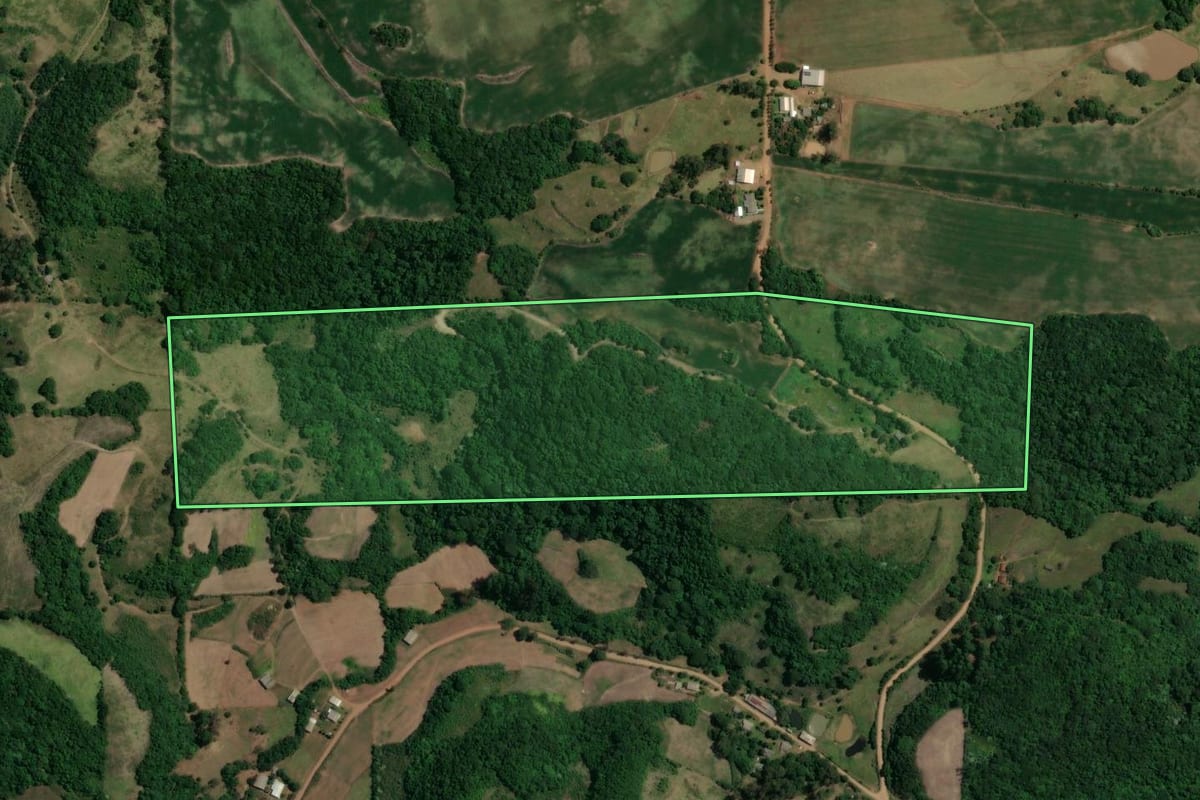 Imagem de satélite do imóvel rural em São Francisco de Assis (RS), com o contorno declarado no CAR desenhado por cima.