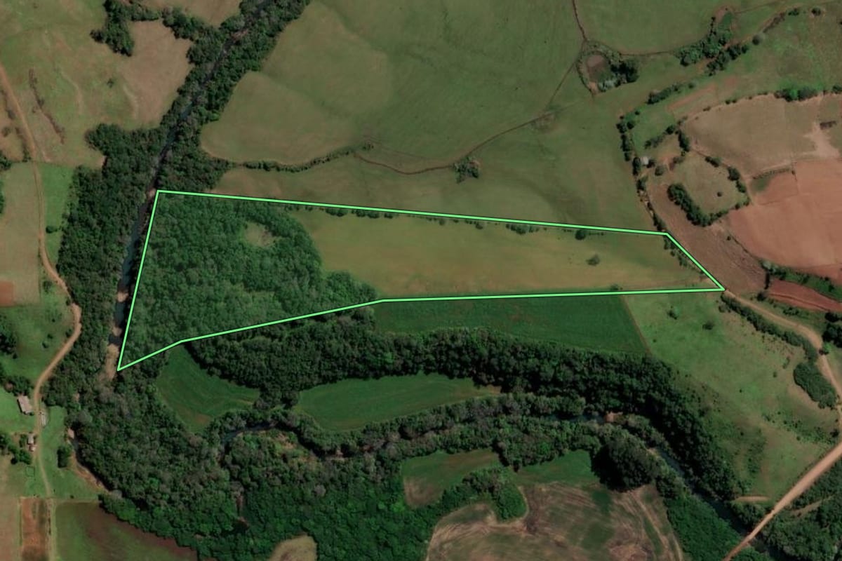 Imagem de satélite do imóvel rural em São Francisco de Assis (RS), com o contorno declarado no CAR desenhado por cima.