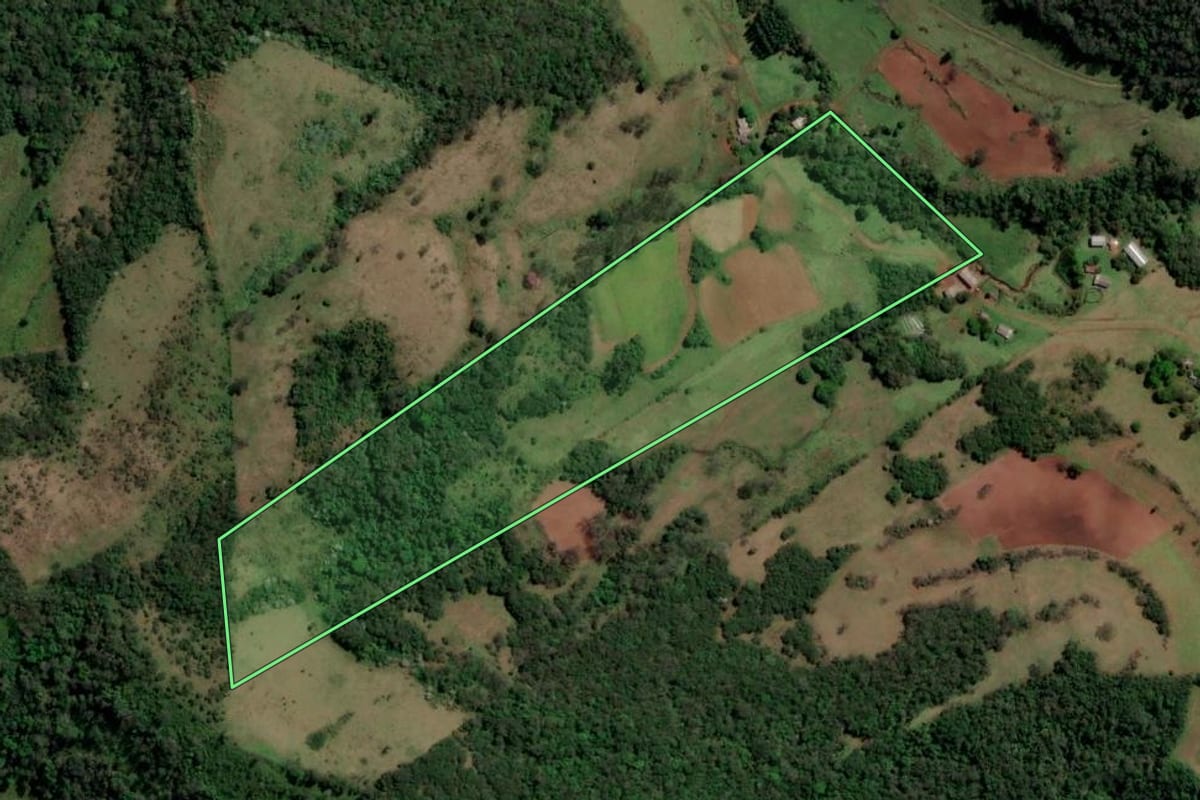 Imagem de satélite do imóvel rural em São Francisco de Assis (RS), com o contorno declarado no CAR desenhado por cima.
