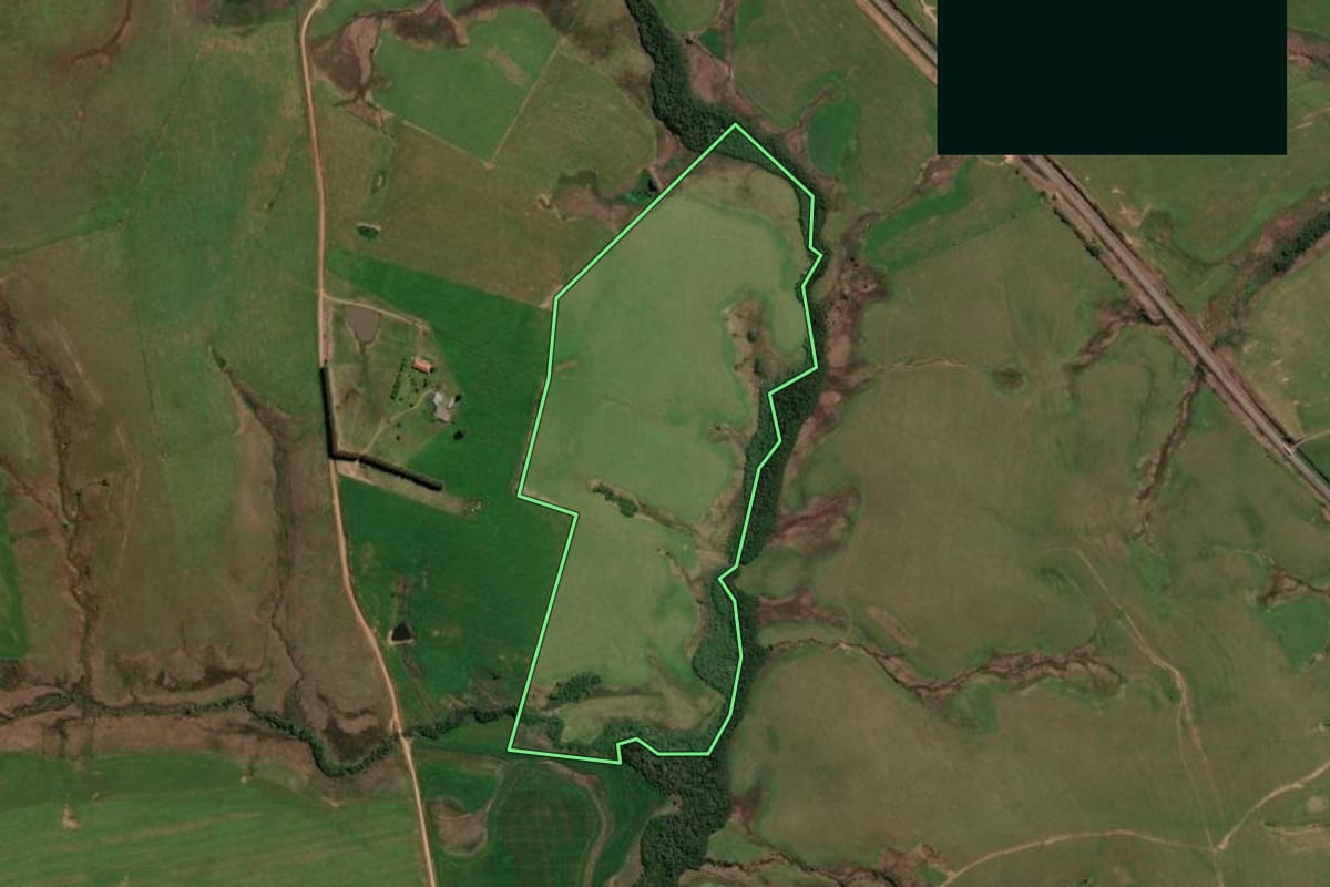 Imagem de satélite do imóvel rural em São Francisco de Assis (RS), com o contorno declarado no CAR desenhado por cima.
