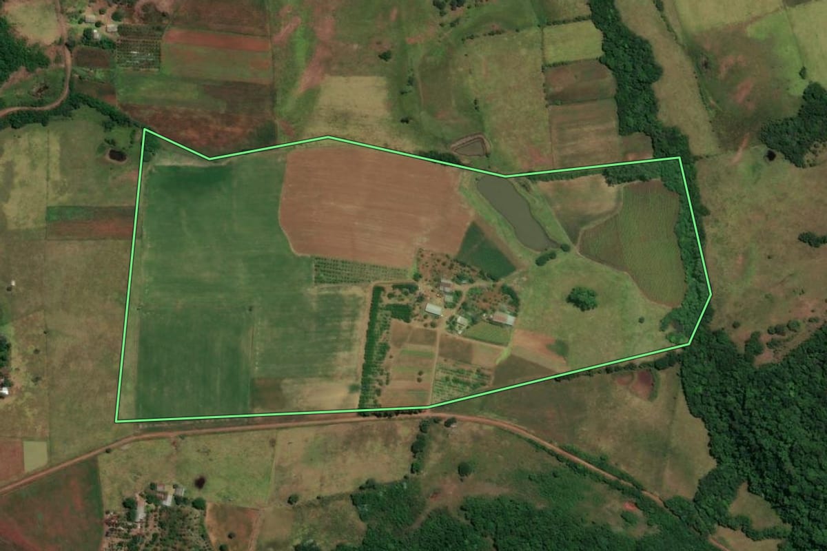 Imagem de satélite do imóvel rural em São Francisco de Assis (RS), com o contorno declarado no CAR desenhado por cima.