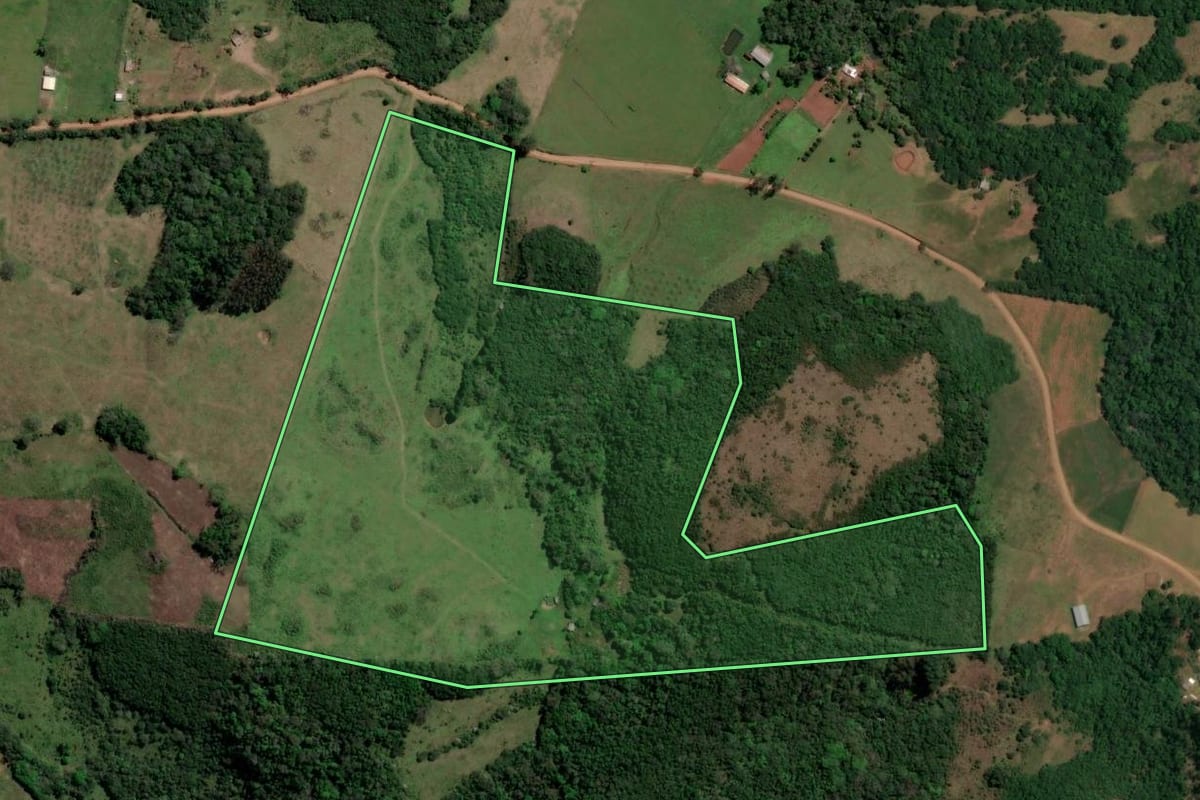 Imagem de satélite do imóvel rural em São Francisco de Assis (RS), com o contorno declarado no CAR desenhado por cima.