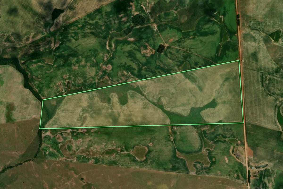 Imagem de satélite do imóvel rural em São Francisco de Assis (RS), com o contorno declarado no CAR desenhado por cima.
