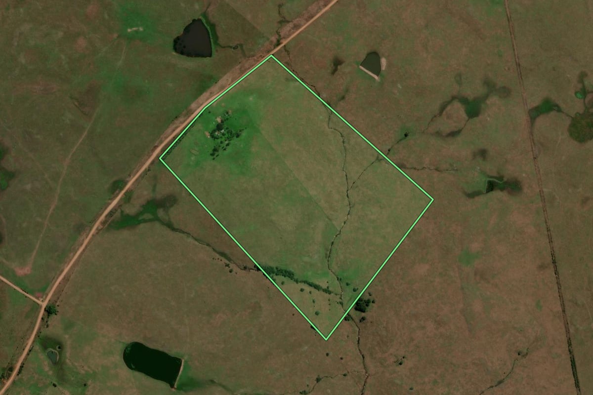 Imagem de satélite do imóvel rural em São Francisco de Assis (RS), com o contorno declarado no CAR desenhado por cima.
