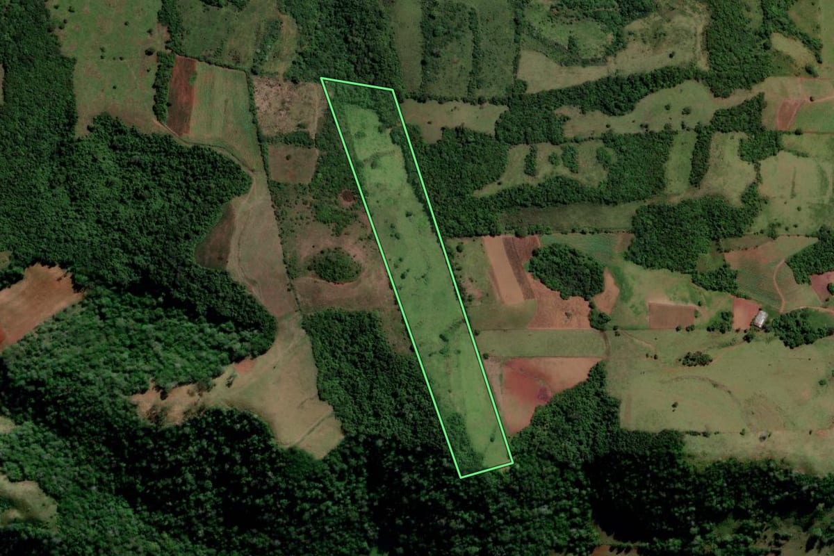 Imagem de satélite do imóvel rural em São Francisco de Assis (RS), com o contorno declarado no CAR desenhado por cima.