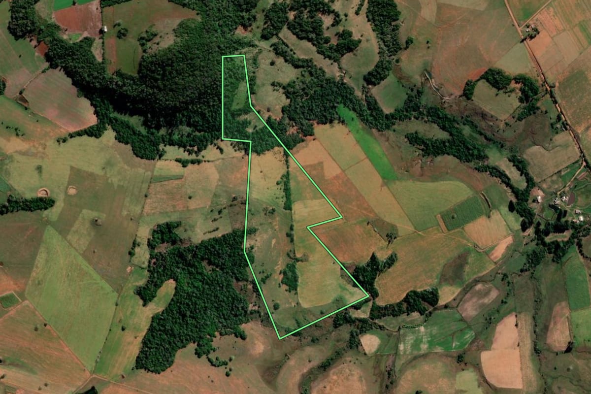 Imagem de satélite do imóvel rural em São Francisco de Assis (RS), com o contorno declarado no CAR desenhado por cima.
