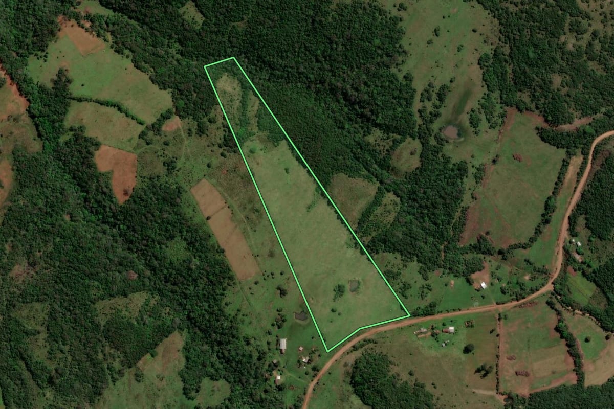 Imagem de satélite do imóvel rural em São Francisco de Assis (RS), com o contorno declarado no CAR desenhado por cima.