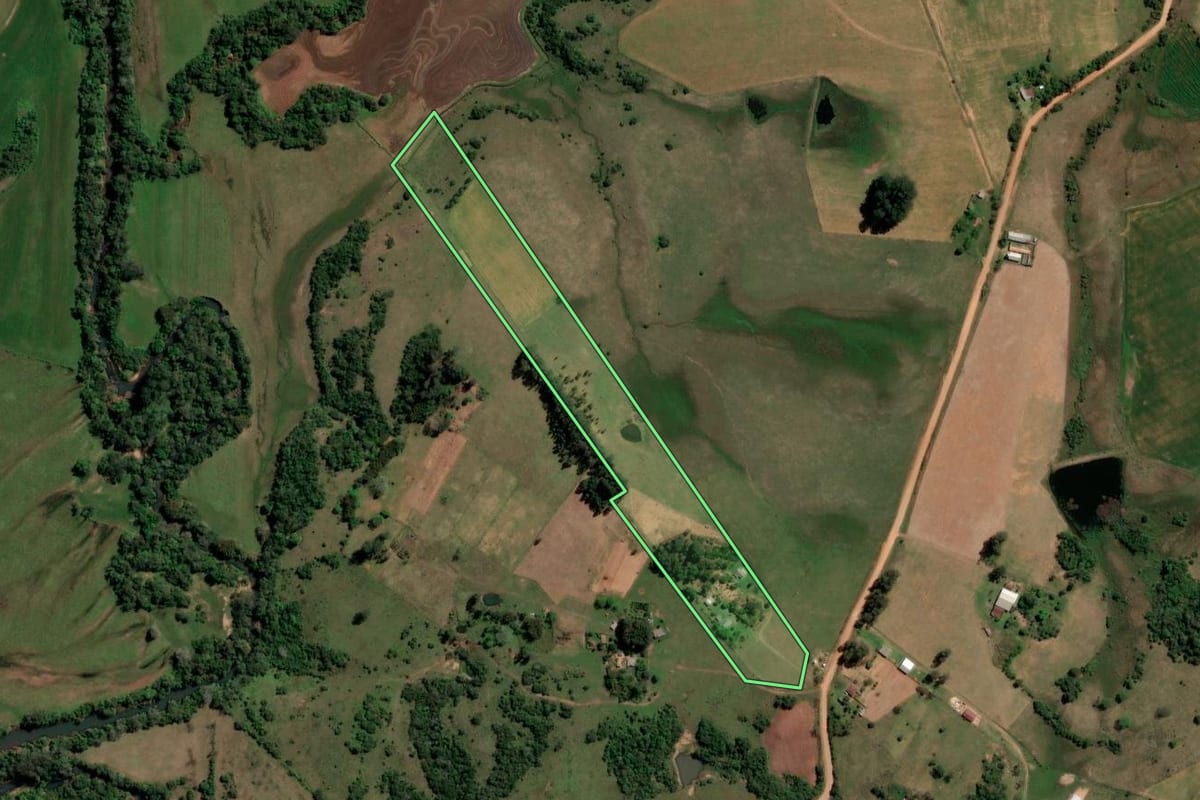 Imagem de satélite do imóvel rural em São Francisco de Assis (RS), com o contorno declarado no CAR desenhado por cima.