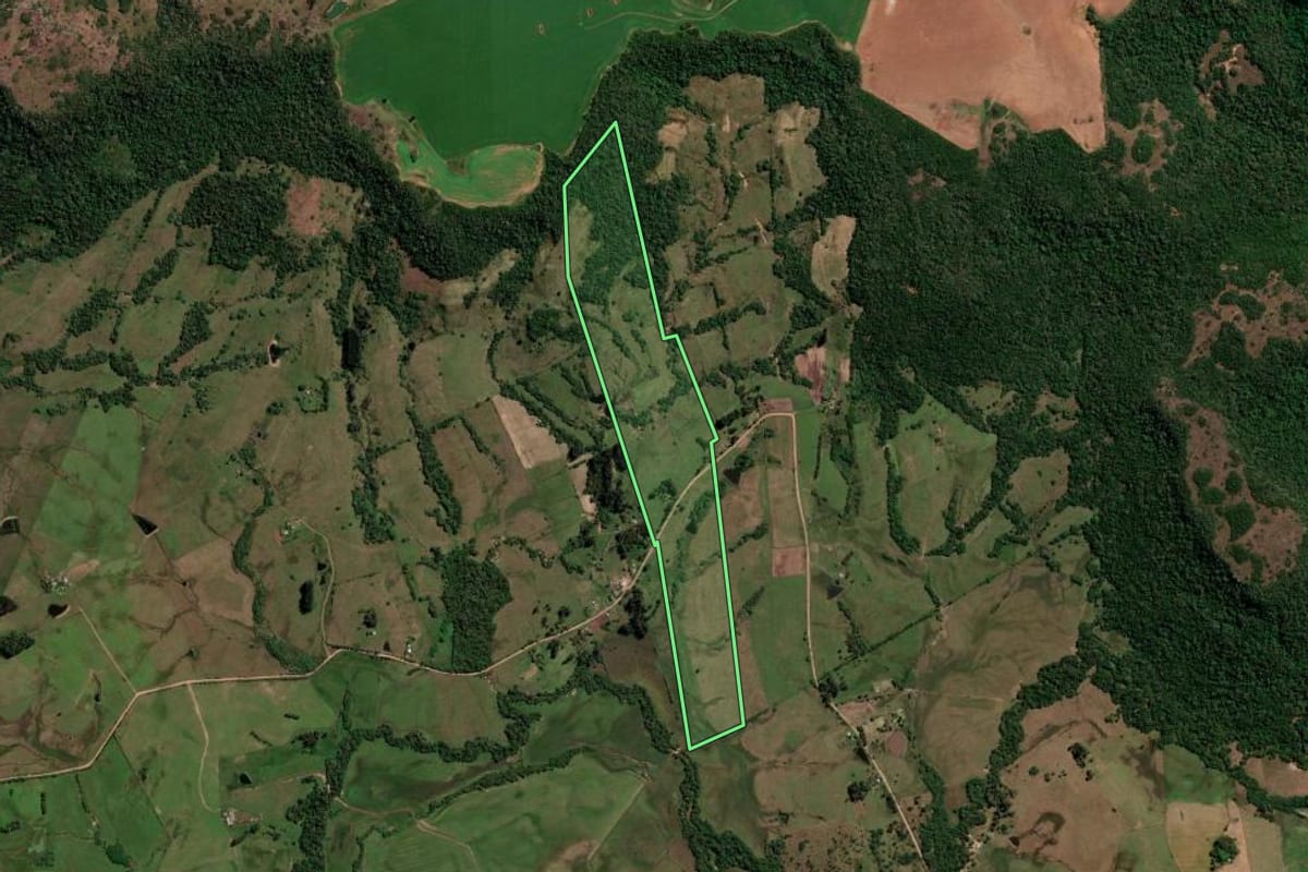 Imagem de satélite do imóvel rural em São Francisco de Assis (RS), com o contorno declarado no CAR desenhado por cima.