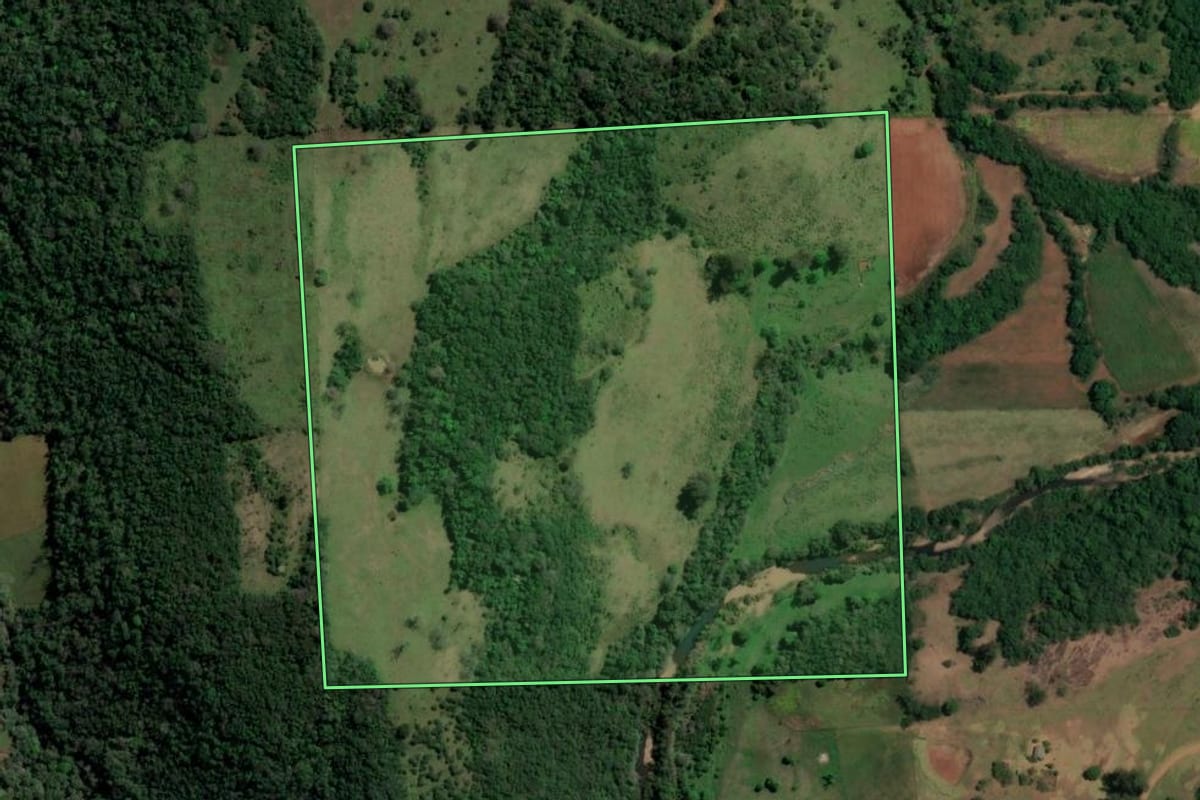 Imagem de satélite do imóvel rural em São Francisco de Assis (RS), com o contorno declarado no CAR desenhado por cima.