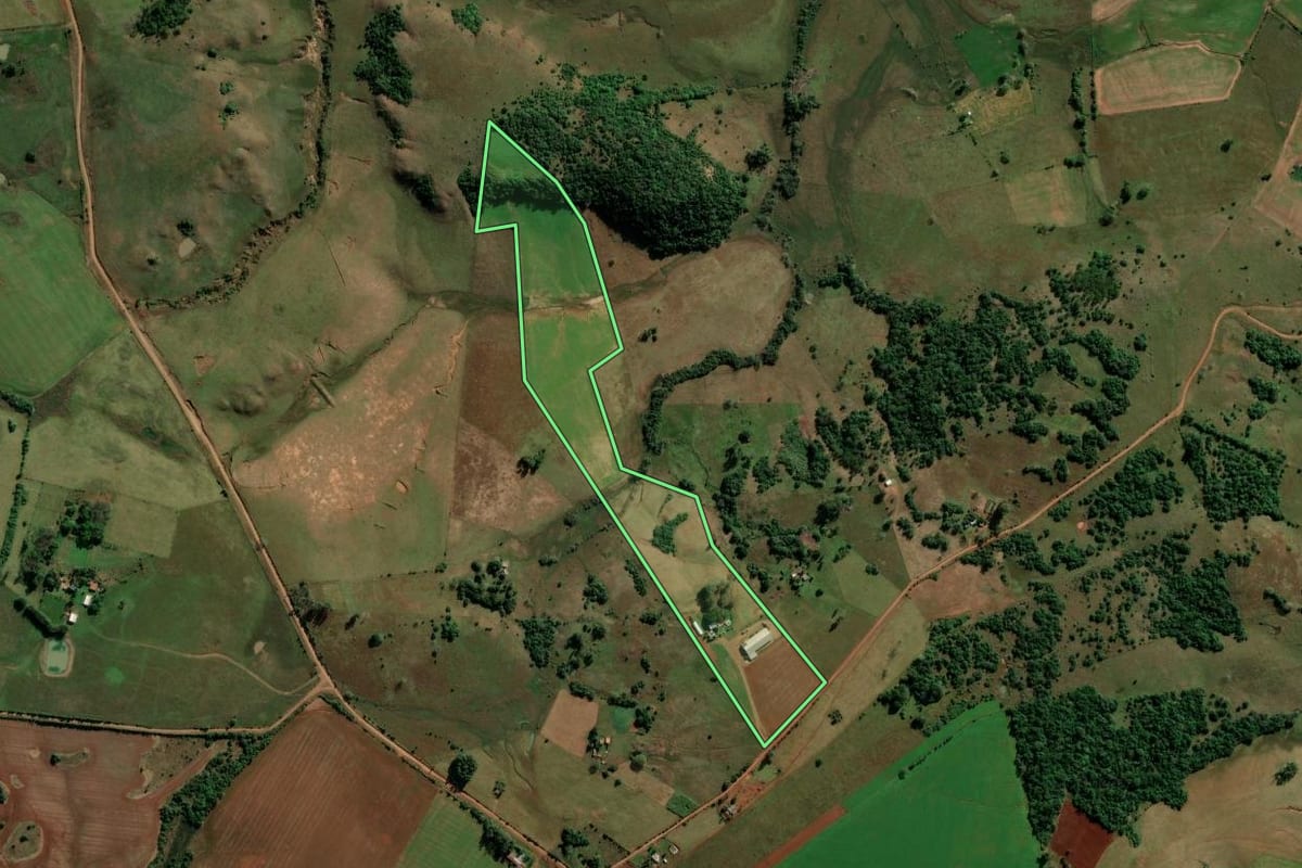Imagem de satélite do imóvel rural em São Francisco de Assis (RS), com o contorno declarado no CAR desenhado por cima.