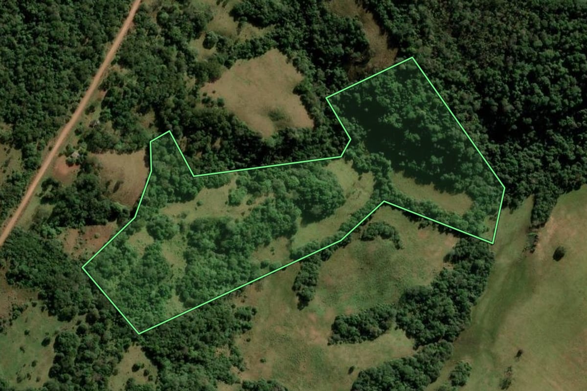 Imagem de satélite do imóvel rural em São Francisco de Assis (RS), com o contorno declarado no CAR desenhado por cima.