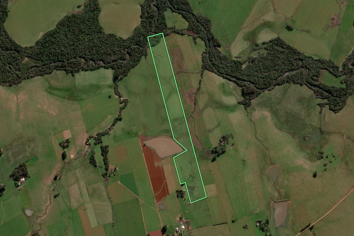Imagem de satélite do imóvel rural em São Francisco de Assis (RS), com o contorno declarado no CAR desenhado por cima.