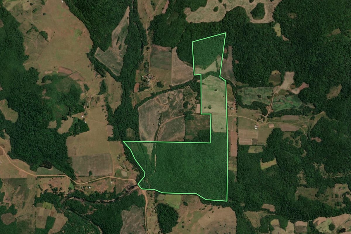 Imagem de satélite do imóvel rural em São Francisco de Assis (RS), com o contorno declarado no CAR desenhado por cima.