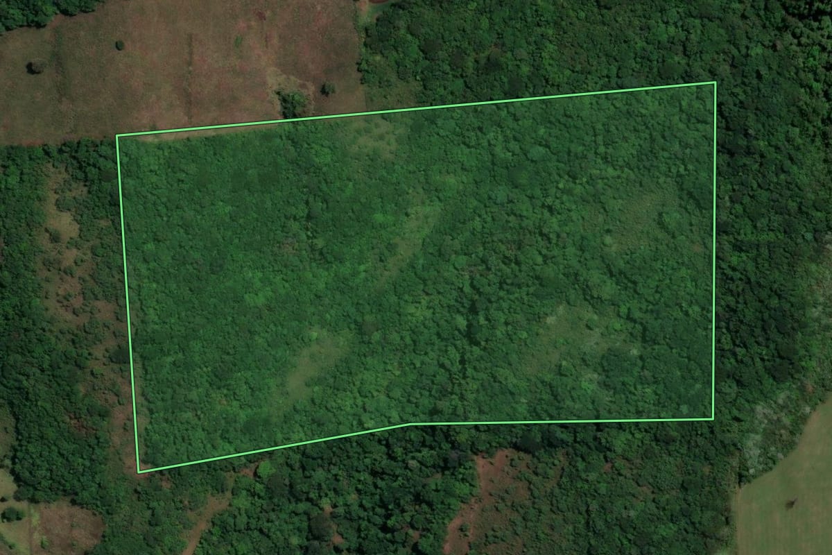 Imagem de satélite do imóvel rural em São Francisco de Assis (RS), com o contorno declarado no CAR desenhado por cima.