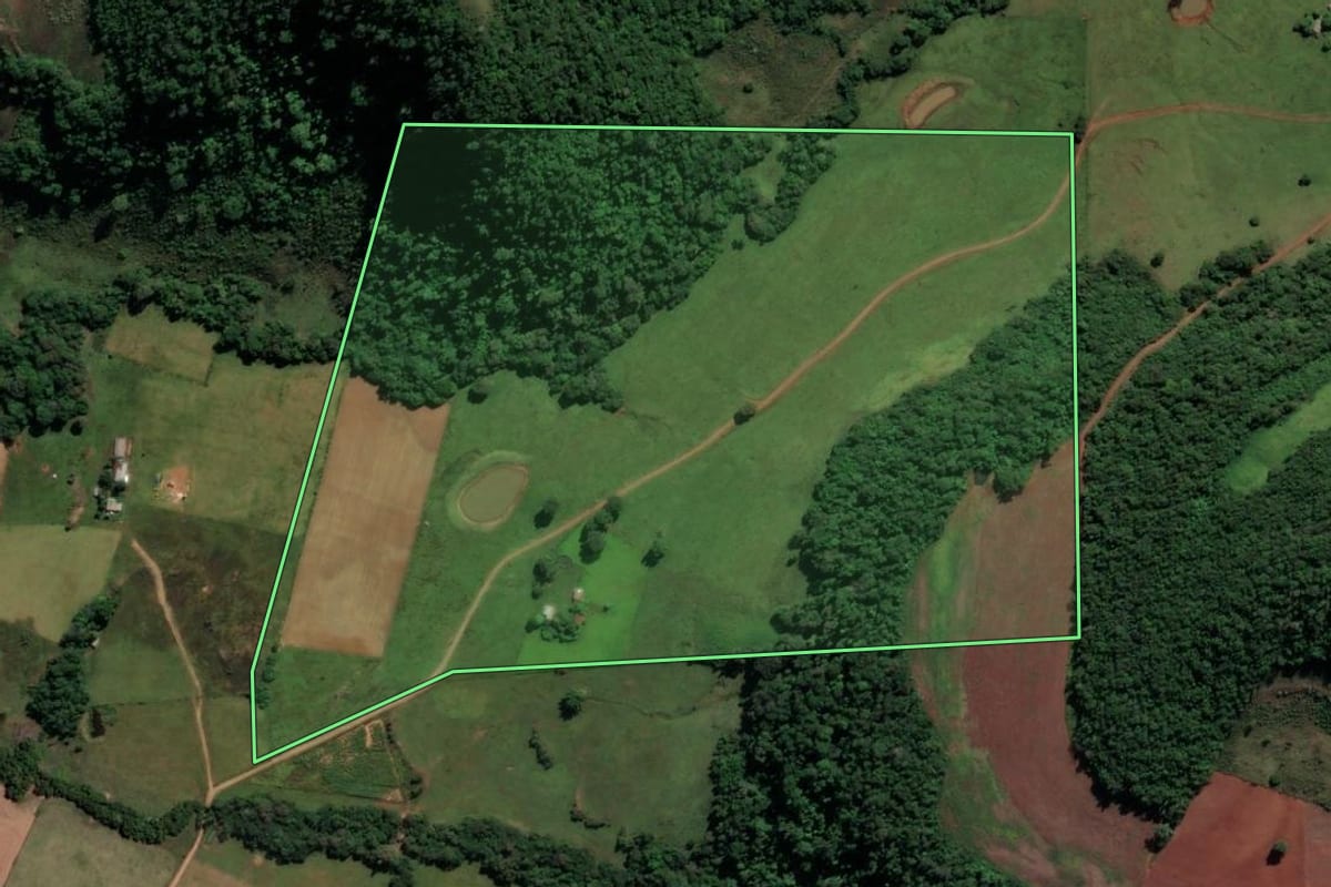 Imagem de satélite do imóvel rural em São Francisco de Assis (RS), com o contorno declarado no CAR desenhado por cima.