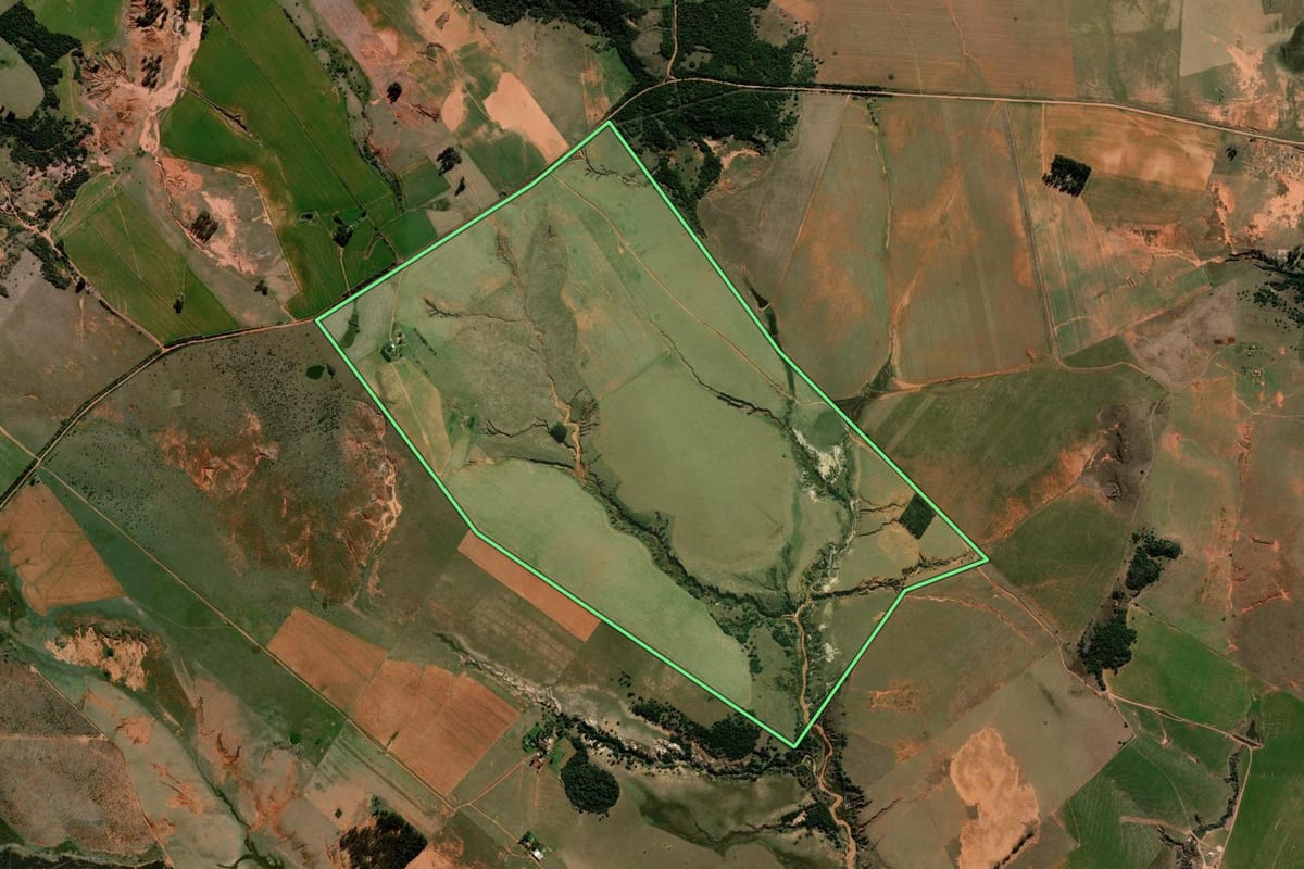 Imagem de satélite do imóvel rural em São Francisco de Assis (RS), com o contorno declarado no CAR desenhado por cima.