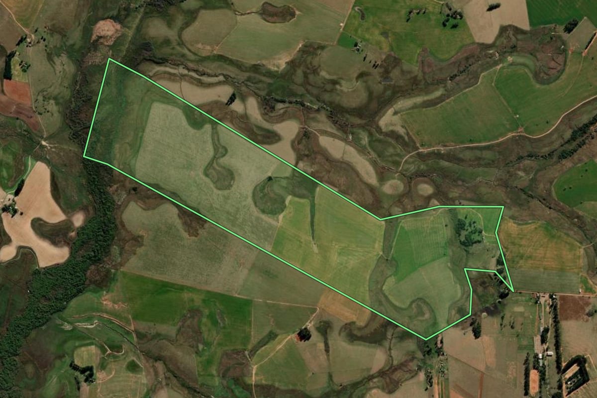 Imagem de satélite do imóvel rural em São Francisco de Assis (RS), com o contorno declarado no CAR desenhado por cima.