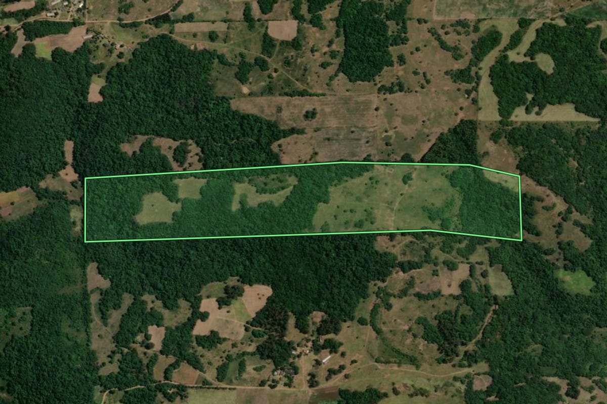 Imagem de satélite do imóvel rural em São Francisco de Assis (RS), com o contorno declarado no CAR desenhado por cima.