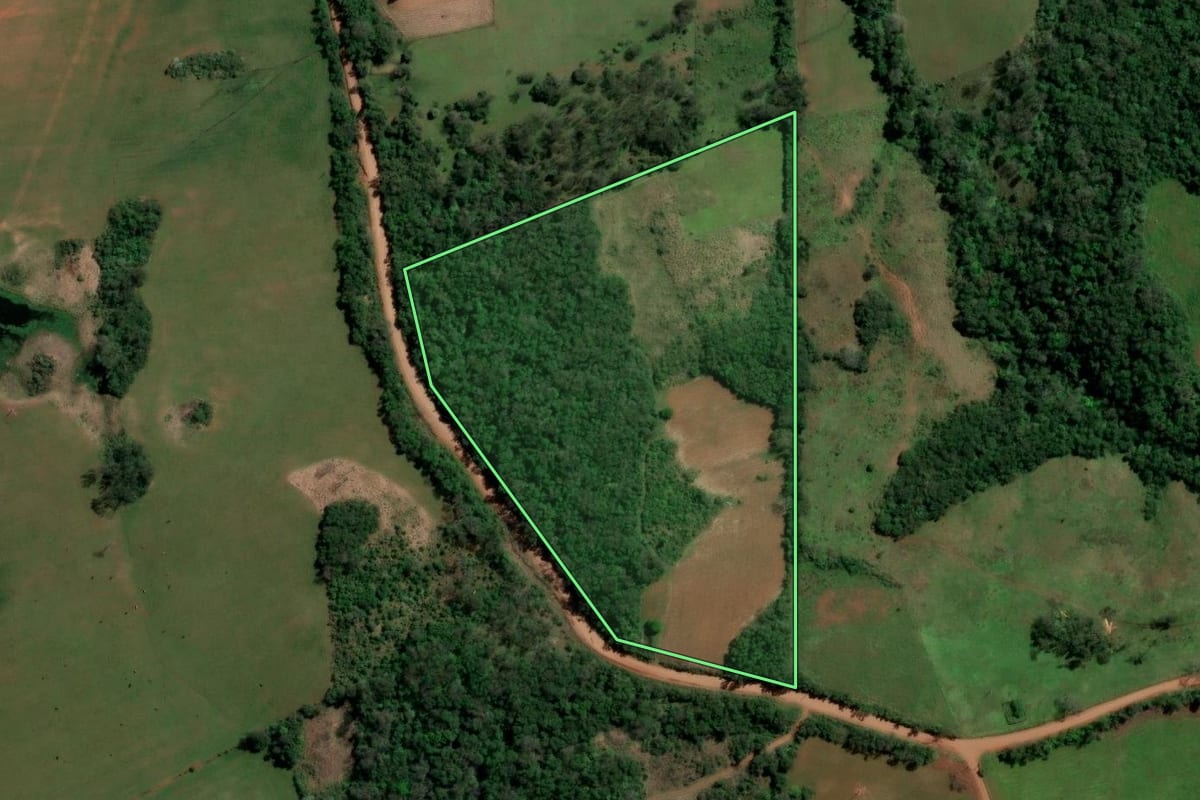 Imagem de satélite do imóvel rural em São Francisco de Assis (RS), com o contorno declarado no CAR desenhado por cima.
