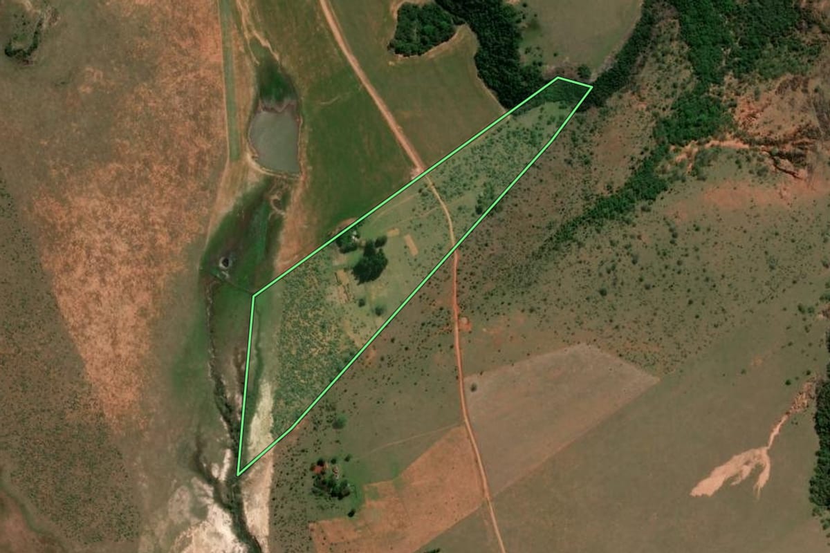 Imagem de satélite do imóvel rural em São Francisco de Assis (RS), com o contorno declarado no CAR desenhado por cima.