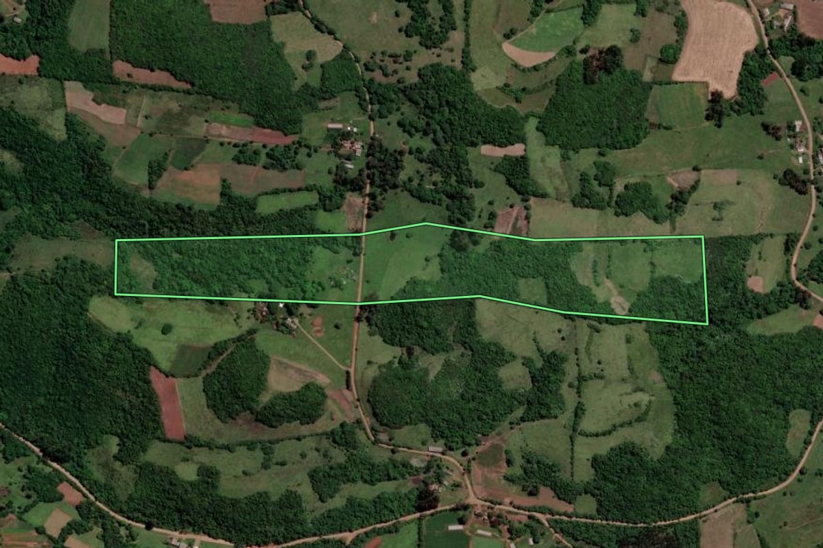Imagem de satélite do imóvel rural em São Francisco de Assis (RS), com o contorno declarado no CAR desenhado por cima.
