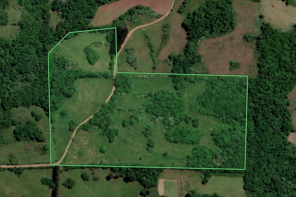 Imagem de satélite do imóvel rural em São Francisco de Assis (RS), com o contorno declarado no CAR desenhado por cima.