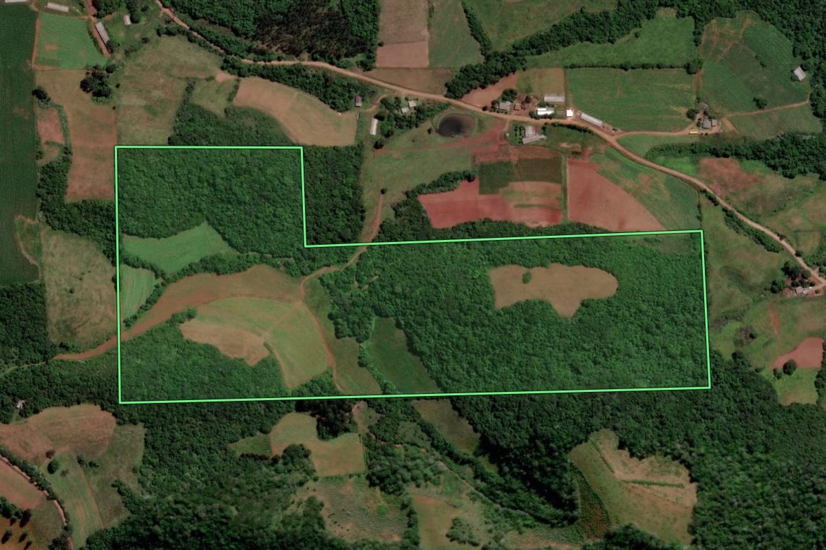 Imagem de satélite do imóvel rural em São Francisco de Assis (RS), com o contorno declarado no CAR desenhado por cima.