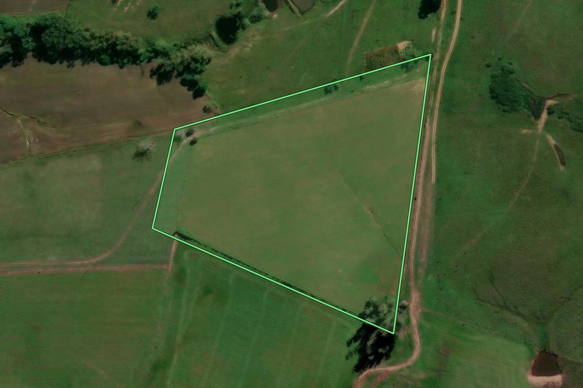 Imagem de satélite do imóvel rural em São Francisco de Assis (RS), com o contorno declarado no CAR desenhado por cima.