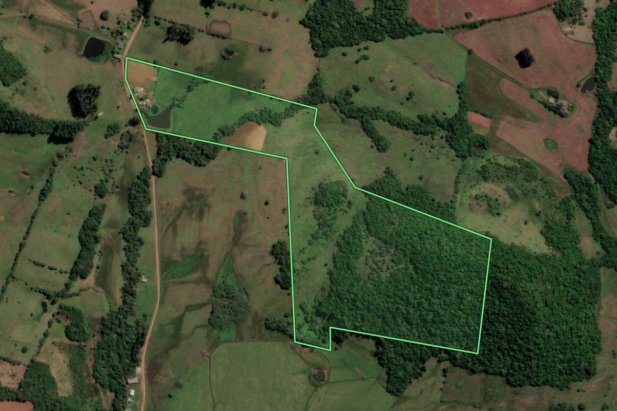 Imagem de satélite do imóvel rural em São Francisco de Assis (RS), com o contorno declarado no CAR desenhado por cima.