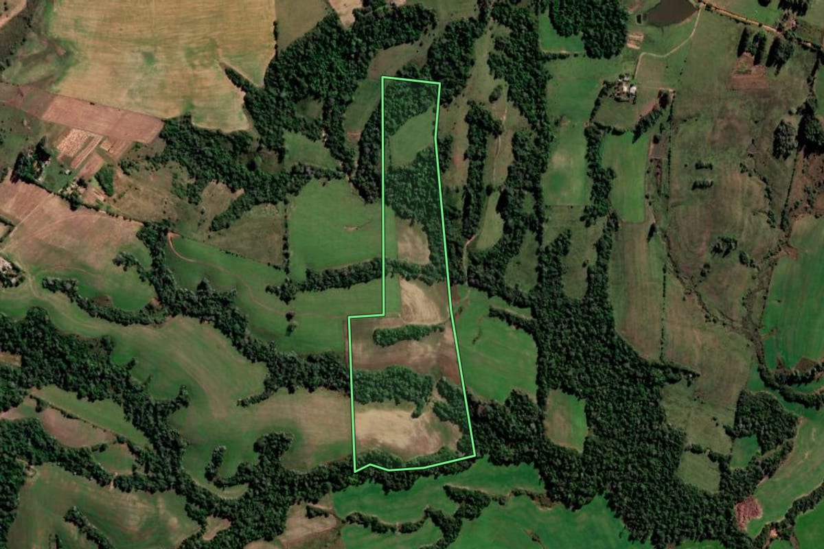 Imagem de satélite do imóvel rural em São Francisco de Assis (RS), com o contorno declarado no CAR desenhado por cima.