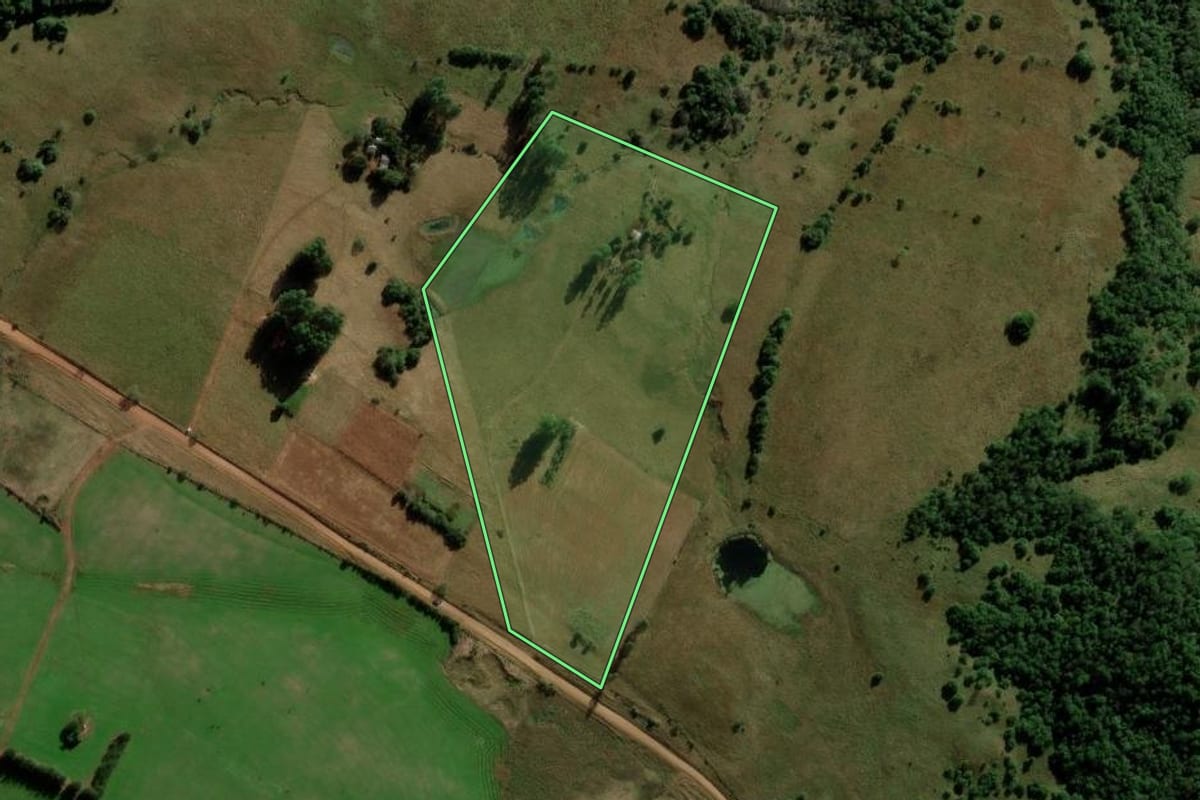 Imagem de satélite do imóvel rural em São Francisco de Assis (RS), com o contorno declarado no CAR desenhado por cima.
