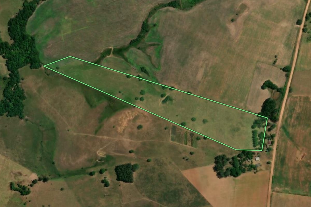 Imagem de satélite do imóvel rural em São Francisco de Assis (RS), com o contorno declarado no CAR desenhado por cima.