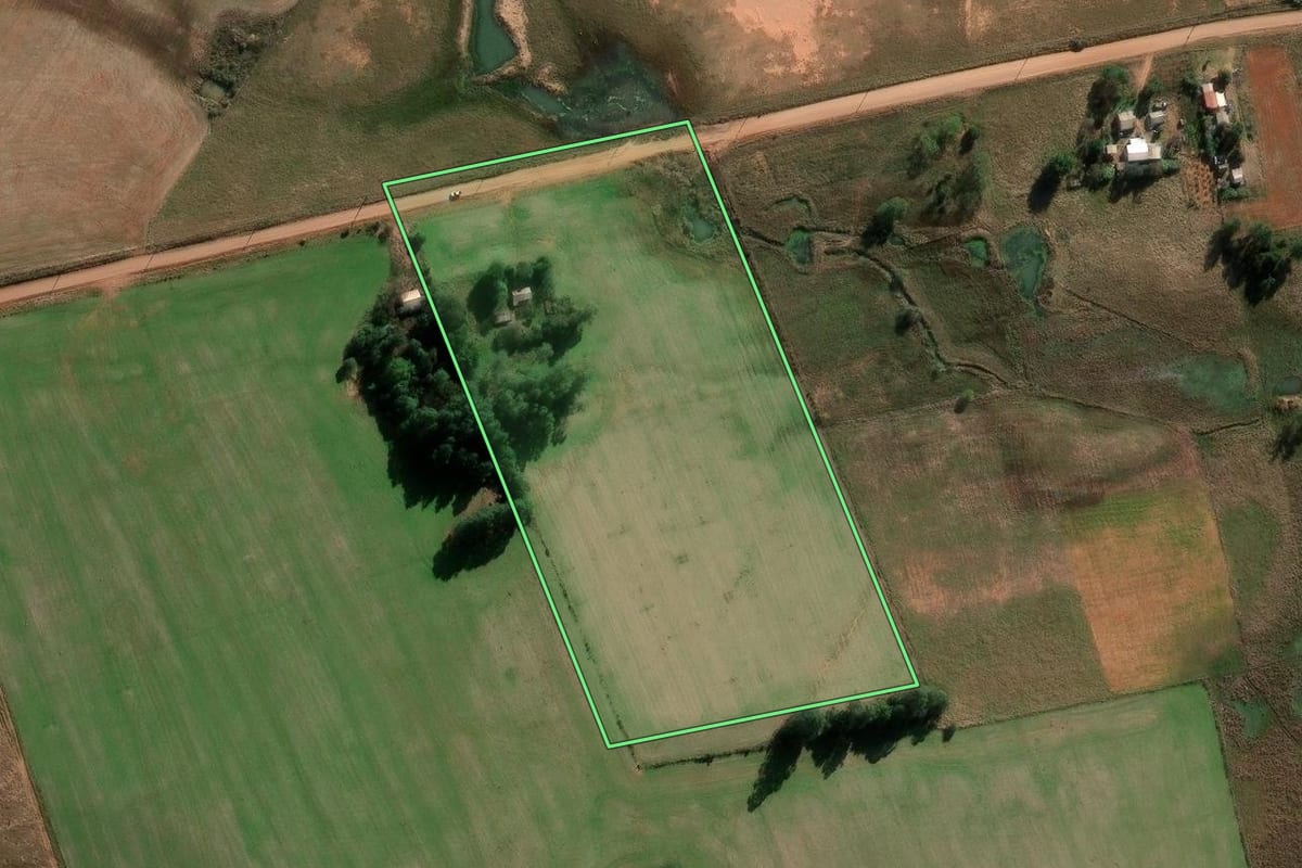 Imagem de satélite do imóvel rural em São Francisco de Assis (RS), com o contorno declarado no CAR desenhado por cima.