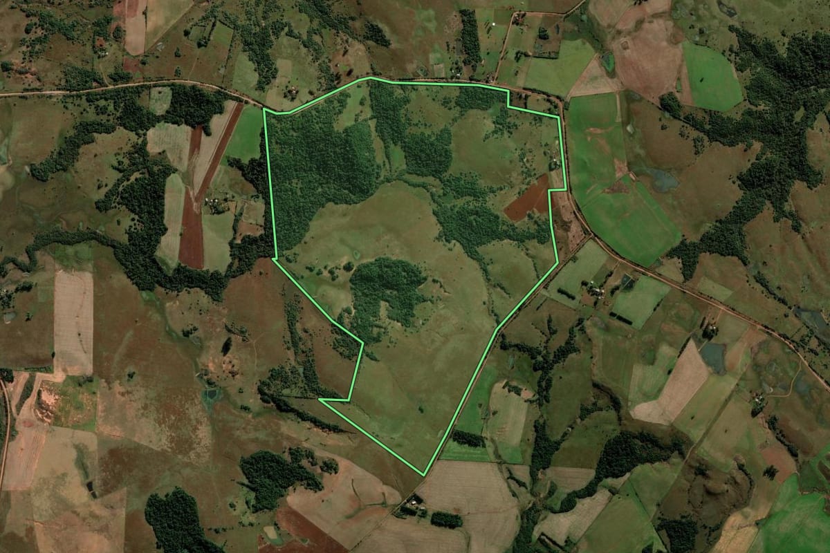 Imagem de satélite do imóvel rural em São Francisco de Assis (RS), com o contorno declarado no CAR desenhado por cima.