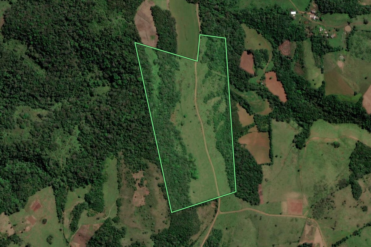 Imagem de satélite do imóvel rural em São Francisco de Assis (RS), com o contorno declarado no CAR desenhado por cima.