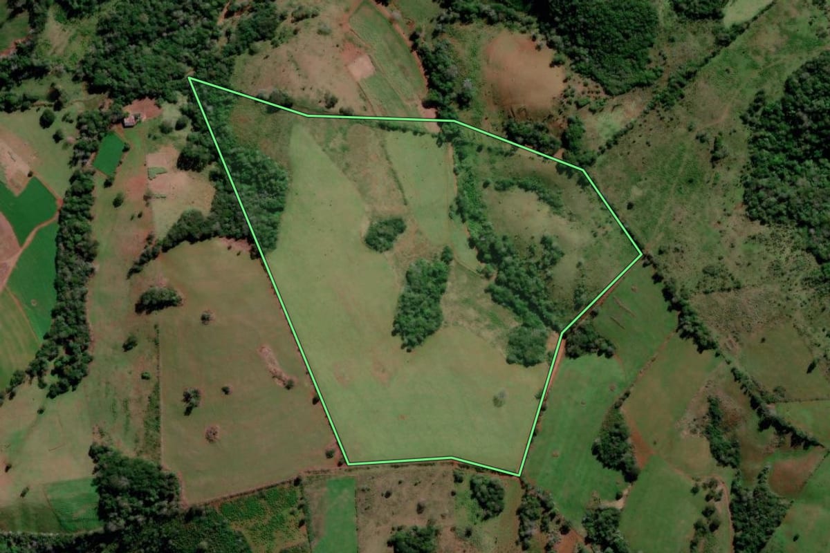 Imagem de satélite do imóvel rural em São Francisco de Assis (RS), com o contorno declarado no CAR desenhado por cima.