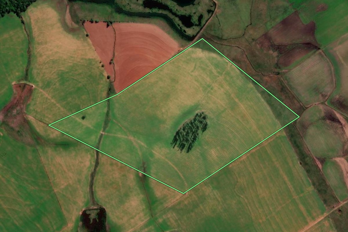 Imagem de satélite do imóvel rural em São Francisco de Assis (RS), com o contorno declarado no CAR desenhado por cima.