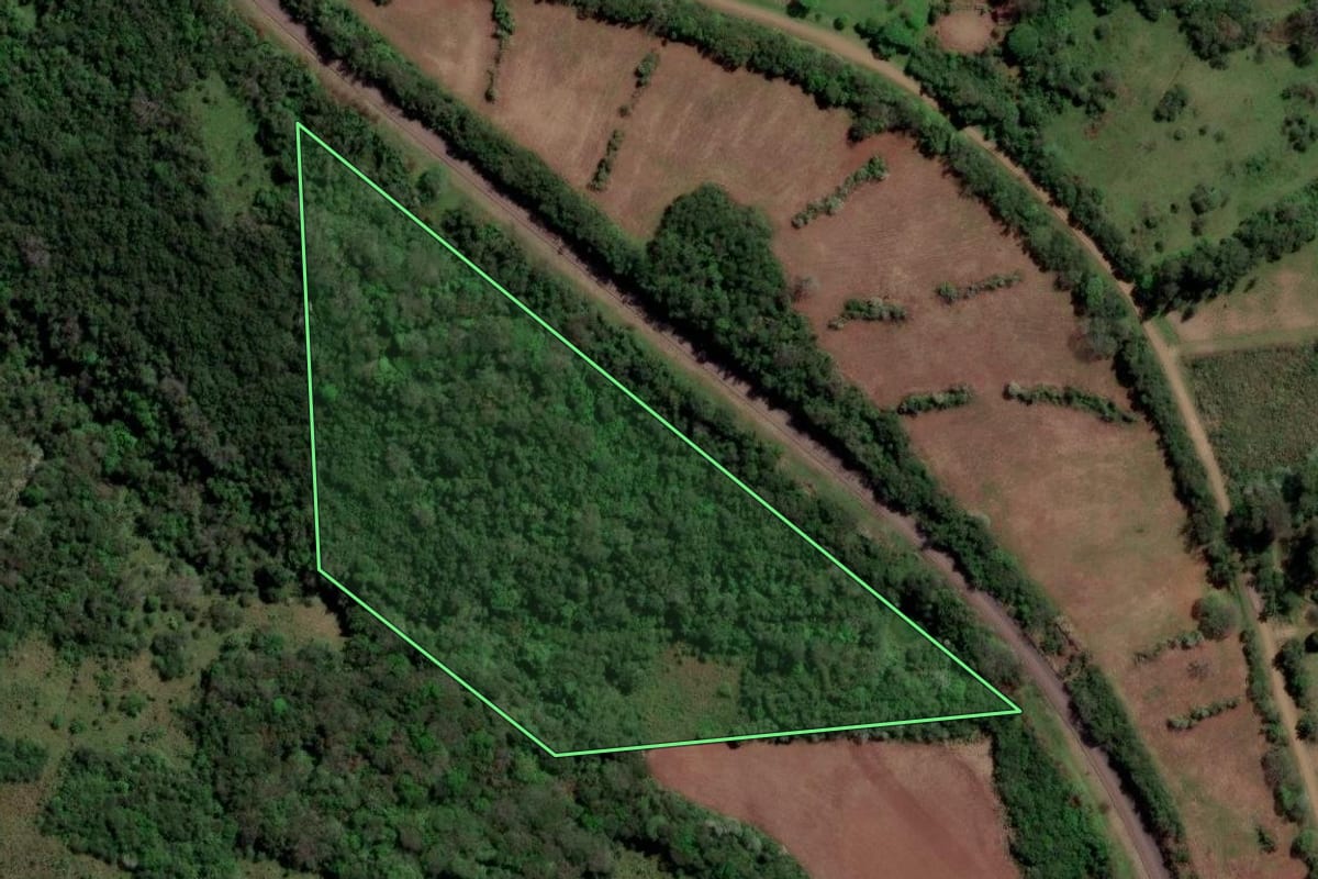 Imagem de satélite do imóvel rural em São Francisco de Assis (RS), com o contorno declarado no CAR desenhado por cima.