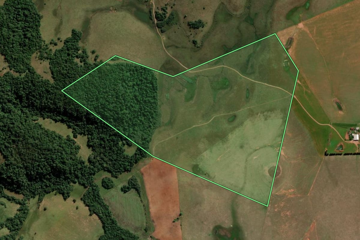 Imagem de satélite do imóvel rural em São Francisco de Assis (RS), com o contorno declarado no CAR desenhado por cima.