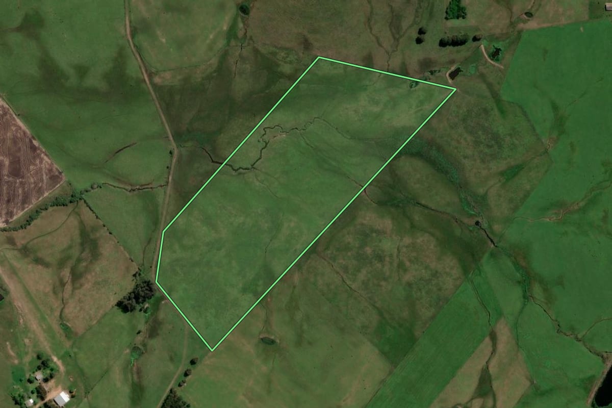Imagem de satélite do imóvel rural em São Francisco de Assis (RS), com o contorno declarado no CAR desenhado por cima.