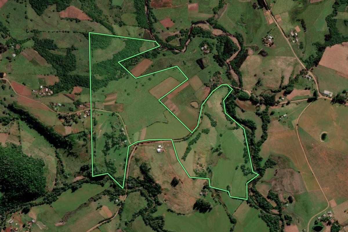 Imagem de satélite do imóvel rural em São Francisco de Assis (RS), com o contorno declarado no CAR desenhado por cima.