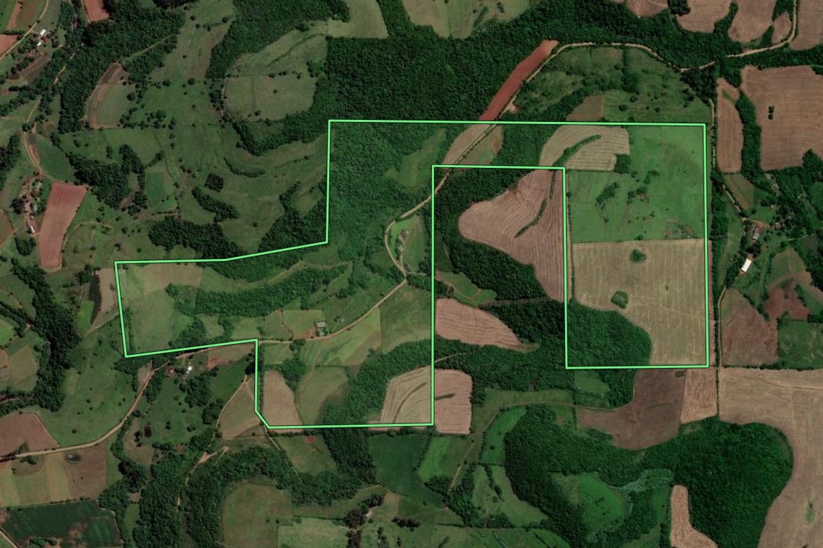 Imagem de satélite do imóvel rural em São Francisco de Assis (RS), com o contorno declarado no CAR desenhado por cima.