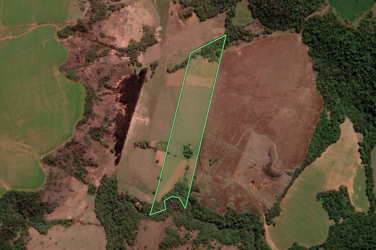 Imagem de satélite do imóvel rural em São Francisco de Assis (RS), com o contorno declarado no CAR desenhado por cima.