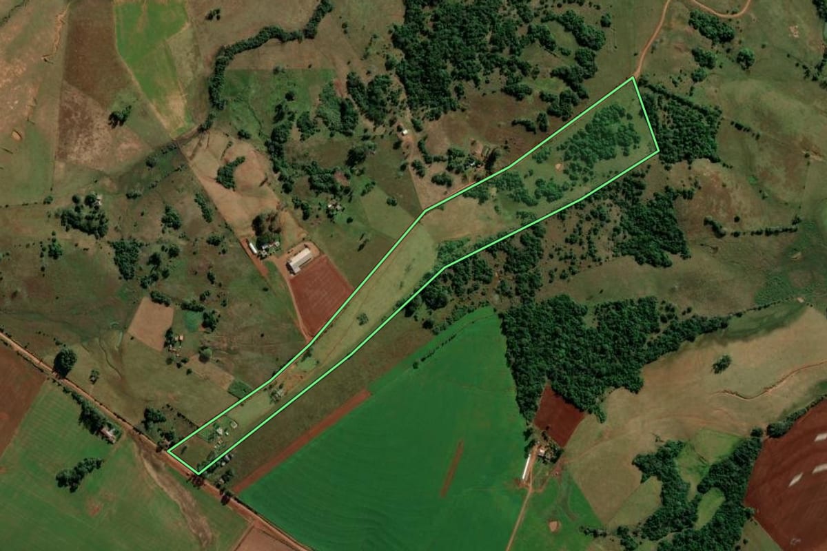 Imagem de satélite do imóvel rural em São Francisco de Assis (RS), com o contorno declarado no CAR desenhado por cima.